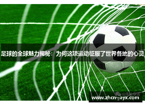 足球的全球魅力揭秘：为何这项运动征服了世界各地的心灵