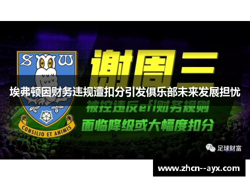 埃弗顿因财务违规遭扣分引发俱乐部未来发展担忧 埃弗顿因财务违规遭扣分引发俱乐部未来发展担忧